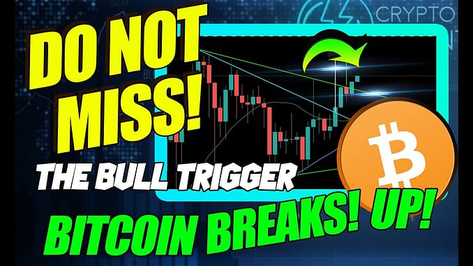 BITCOIN FRENZY CONTINUES URGENT MUST WATCH FOR CARDANOIS IT TOO