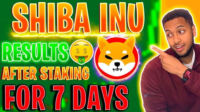 SHIBA INU I MADE HOW MUCH AFTER 1 WEEK OF