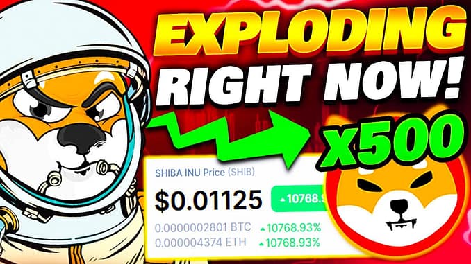 SHIBA INU TOKEN Is Going To EXPLODE After This NEWS