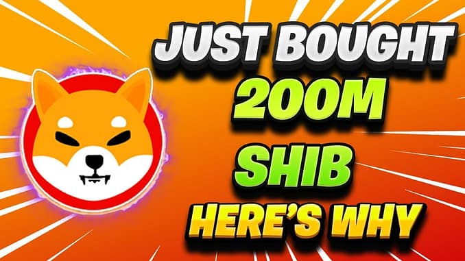 WOW I JUST BOUGHT 200000000 MORE SHIB TOKENS HERE IS