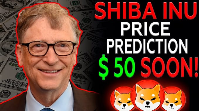 Bill Gates Shiba Inu Price Prediction 50 On This