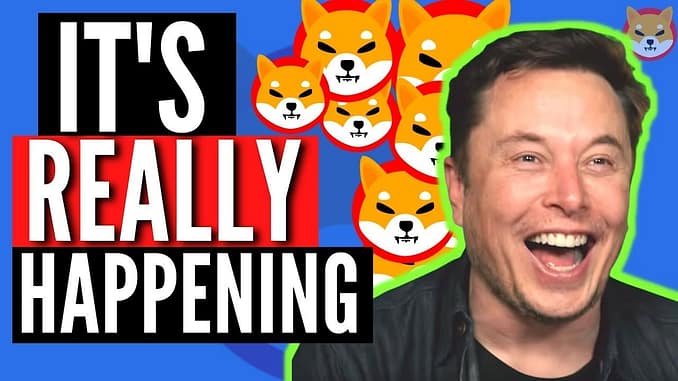 Elon Musk Released That Shiba Inu Coin Will Hit 10