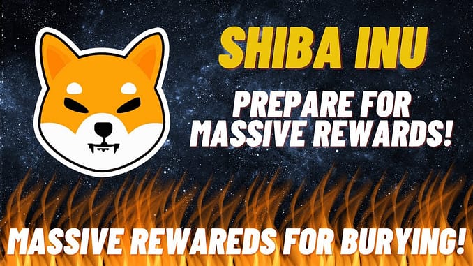 SHIBA INU TOKEN MASSIVE REWARDS FROM BURY SHIBASWAP REWARDS