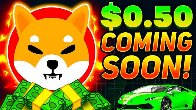 SHIBA INU TOKEN LEAKED INFORMATION TO HIT 050 IN 2021