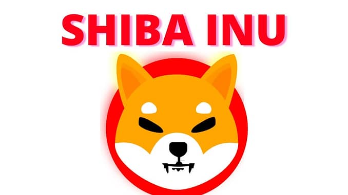 Shiba Inu He39s Leaving This is Coming