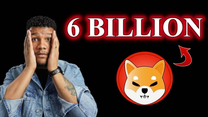 6 BILLION SHIB COINS BURNED WE ARE JUST GETTING STARTED