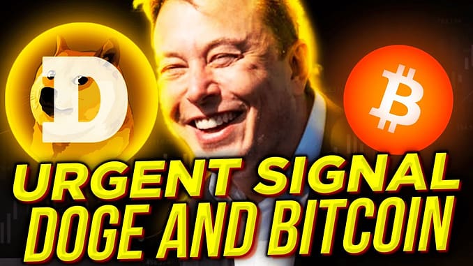 URGENT NEWS FROM ELON MUSK to every HODLER OF DOGE