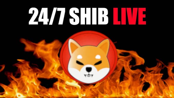 24/7 #SHIB Burn Live (All Revenue Burns Shiba Inu Coin)