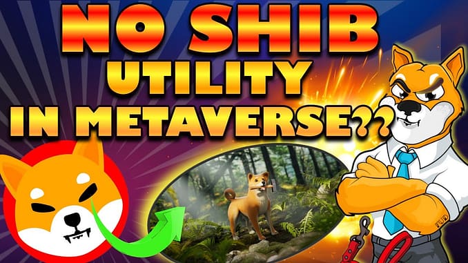 EXACTLY What Is The USE Of Shiba Inu Token In SHIB The Metaverse?