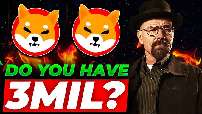 Shiba Inu Coin News Today | DID YOU HAVE 3MIL SHIB IN 2021?! YOU ARE ELIGIBLE FOR RETIREMENT!