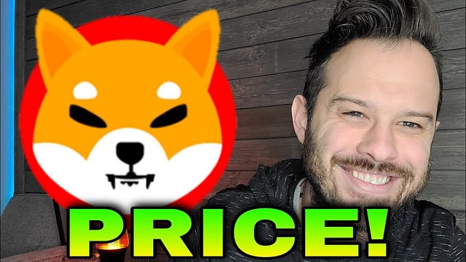 Shiba Inu Coin | Expectations For a Price Increase in #SHIB