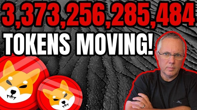 3,373,256,285,484 SHIBA INU TOKENS ARE ON THE MOVE! ALSO, WHAT ARE SHIBA INU COIN WHALES DOING NOW?